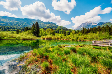 Nature Reserve Zelenci, krajnska gora, Slovenia, Europe. Wonderful morning view of Zelenci nature...