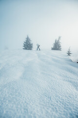 Mountaineer backcountry ski walking ski alpinist in the mountains. Ski touring in alpine landscape with snowy trees. Adventure winter sport. Low Tatras, slovakia