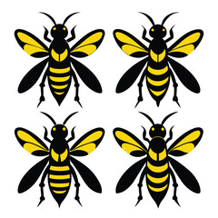 Set of Beewolf wasp vector on white background