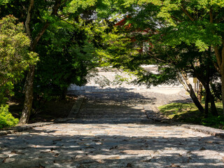 青紅葉が美しい東大寺の猫段