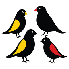 Set of Belgian Canary animal vector on white background