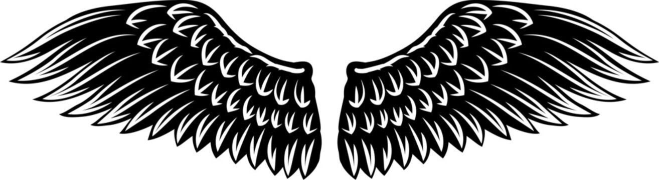 Angel, eagle, hawk or falcon bird wings feather wing pair set illustration in a vintage woodcut style