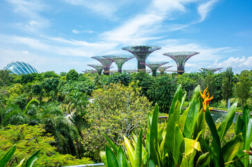 シンガポールのガーデンズ・バイ・ザ・ベイ
