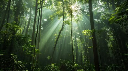 Fototapeta premium Deforestation prevention is vital for maintaining biodiversity and combating climate change, as forests play a crucial role in absorbing carbon dioxide