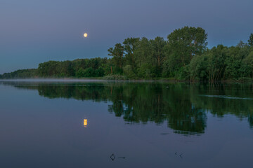 reflection of trees in water