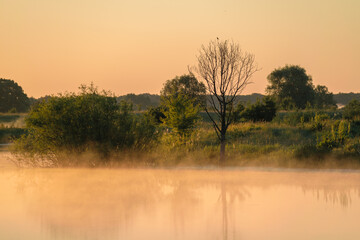 foggy sunrise over the river