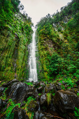 Magical misty green forest with waterfalls do Folhadal in Levada do Norte, Madeira island, Portugal.