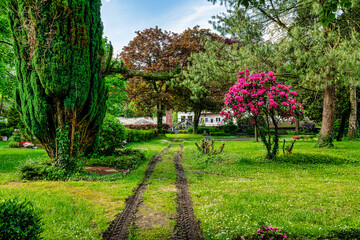 Treckerspur auf dem Friedhof in Mettmann Richtung der Gärtnerei