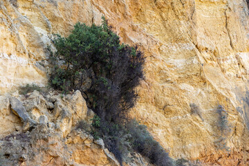 Rocky coastline , Cape Sao Goncalo de Lagos, in the Algarve