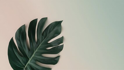 Tropical leaf on pastel background minimalist concept flat lay