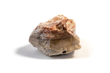 Pelitic Schist Rock isolated on white Background