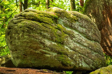 Steine gros im wald 
