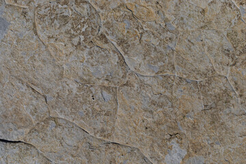 Stone texture worn by the wind and the sea of ​​the coast located on a wild beach.