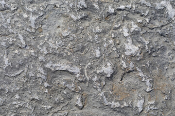 Stone texture worn by the wind and the sea of ​​the coast located on a wild beach.