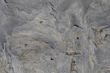 Stone texture worn by the wind and the sea of ​​the coast located on a wild beach.
