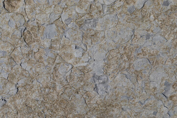 Stone texture worn by the wind and the sea of ​​the coast located on a wild beach.