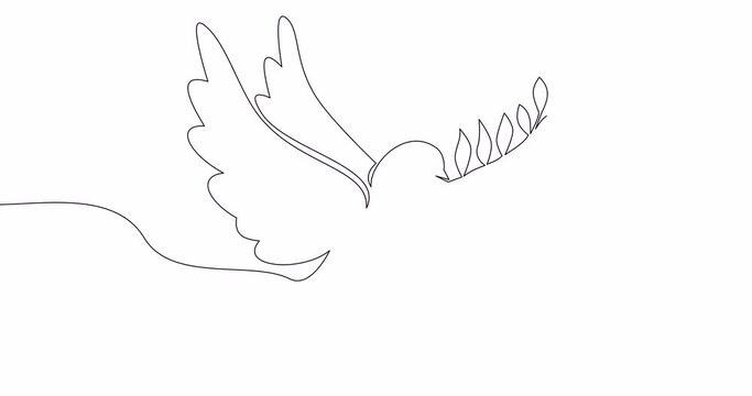 Self drawing line animation flying dove with olive branch peace continuous one single line drawn concept video