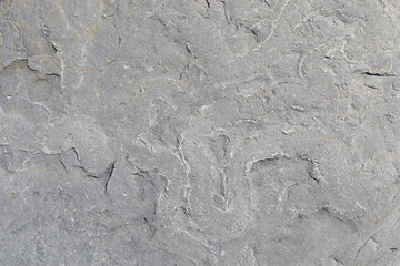 Stone texture worn by the wind and the sea of ​​the coast located on a wild beach.