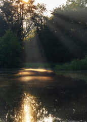 summer morning landscape with lake and trees