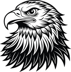 American eagle Eagle Vector illustration