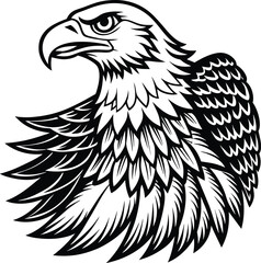 Obraz premium American eagle Eagle Vector illustration