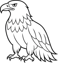 American eagle Eagle Vector illustration