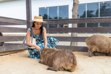 Tourist woman visit the tourist animal farm