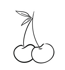 Hand drawn ink cherry vector illustration, sweet berry sketch