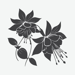 Fototapeta premium Print Elegant Fuchsia Flower Silhouette, A Stunning Botanical Masterpiece