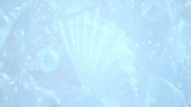 美しい貝殻 幻想的 BG143a 03