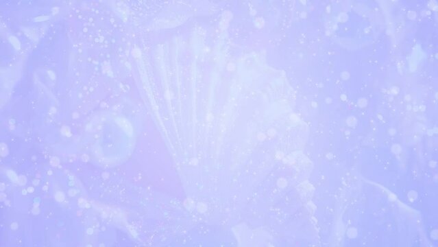 美しい貝殻 幻想的 BG143a 05