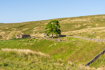 Landscape in the Peak District near Coalcleugh, England, UK