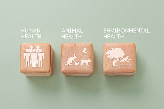Wooden cube on green background with icon and the words symbolize the interconnection of human health, animal health, and environmental health. One health concept of a clean and healthy environment