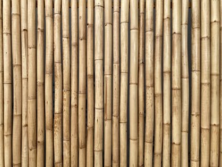 Fototapeta premium Natural brown bamboo stalks lined up to form a wall, using for background