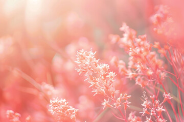 Fototapeta premium Coral blurred background for romantic wedding and bridal event materials.