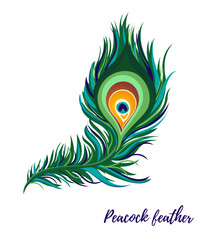 Obraz premium Vector festive peacock feather. Great for any designs, prints, for Krishna Janmashtami celebration. Indian festival decor, traditional decoration
