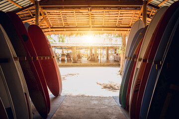 A variety of surfboards are neatly displayed on a stand