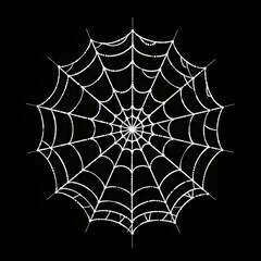 Obraz premium Elegant spider web on a black background. This is a white web with intricate details. It is a conceptual image perfect for Halloween themes. AI