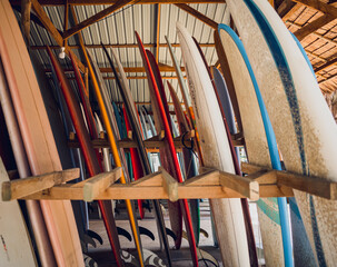 A variety of surfboards are neatly displayed on a stand