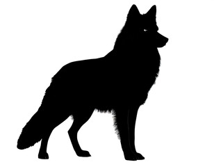schwarze Silhouette Kontrast wolf auf vier beinen isoliert auf weißen Hintergrund, Freisteller 