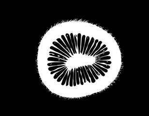 Obraz premium weiße Silhouette Kontrast Kiwi isoliert auf schwarzen Hintergrund, Freisteller 