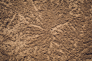 Crabs dug holes and left sand balls on the beach