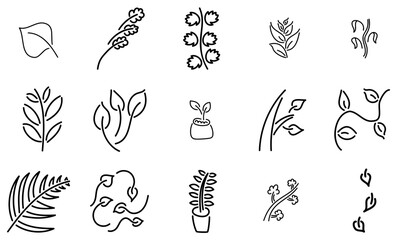 A Collection Of Leaves Vector Symbols Apps, Websites Ui Designs Suitable For Plant,Houseplant,Palm,Autumn,Tree Vector Illustration Linear Pictogram Pack