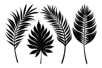 Set of palm leaves and branches black on white background