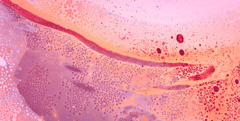 Enchanting and Playful Rainbow Splash on a Cute and Colorful Abstract Background