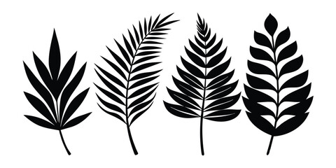Set of palm leaves and branches black on white background