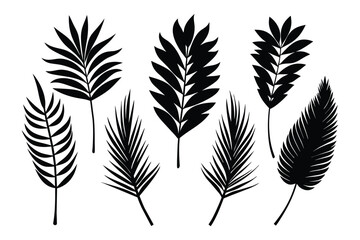 Set of palm leaves and branches black on white background