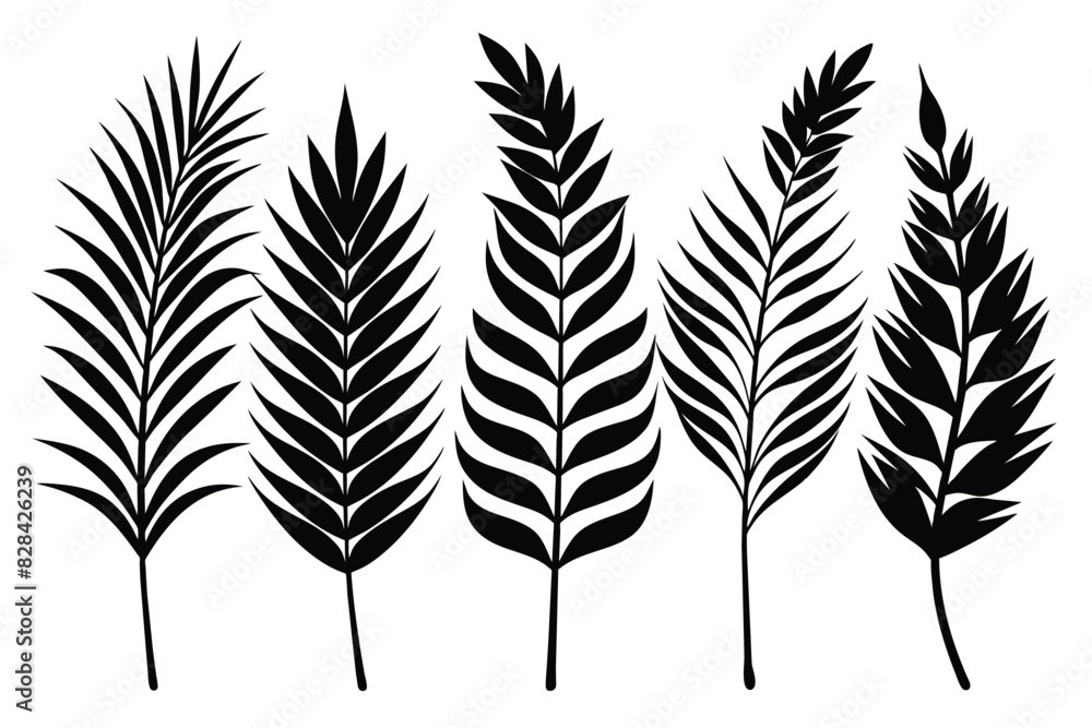 Wall mural set of palm leaves and branches black on white background - Wall murals