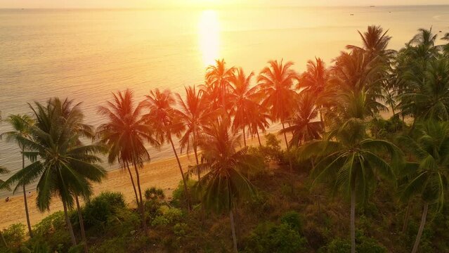 Ocean Sunrise, sunset view of Palm tree and tropical island beach. Concept of vacations in tropical country. 