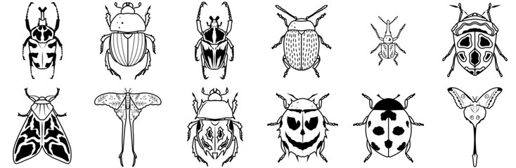 Mega Set Of Vector Insects Vector Symbols Apps, Websites Ui Designs Suitable For Insect,Bug,Nature,Beetle,Animal Solid Icon Collection. Vector Illustration